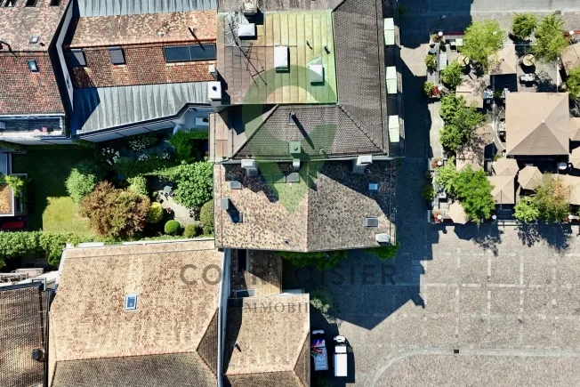 7 Zimmer Einfamilienhaus in Nyon – foto 17 di 17