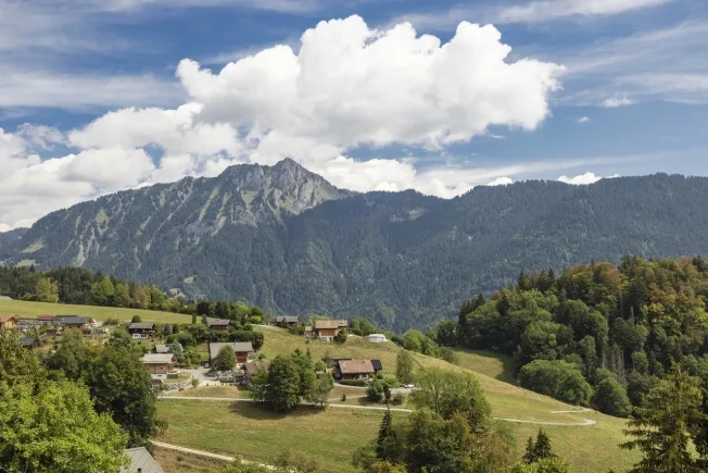 3 Zimmer Wohnung in Leysin – Foto 3 von 13