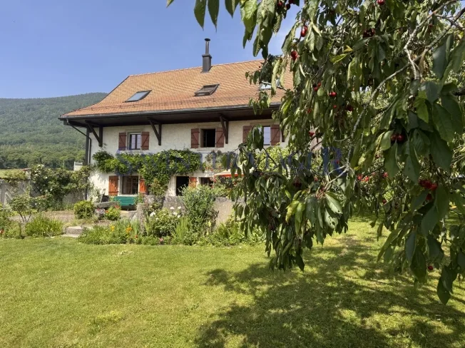 8 Zimmer Einfamilienhaus in Mollens VD – Foto 2 von 13