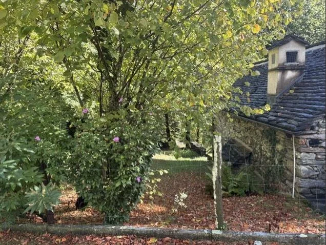 3.5 Zimmer Rustico in Moghegno – Foto 4 von 10