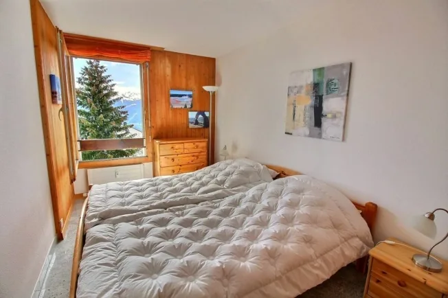 2 Zimmer Wohnung in Anzère – photo 5 of 10