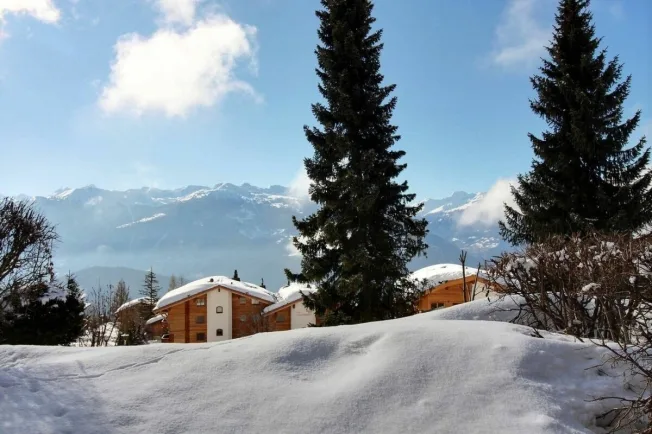 3 Zimmer Wohnung in Anzère – foto 10 di 10