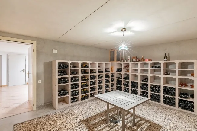 7 Zimmer Einfamilienhaus in Coppet – foto 12 di 16