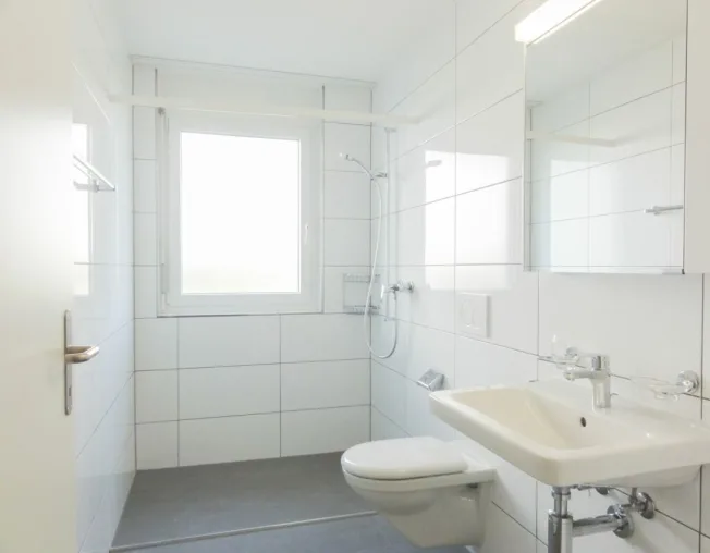 4.5 Zimmer Wohnung, 4805 Brittnau