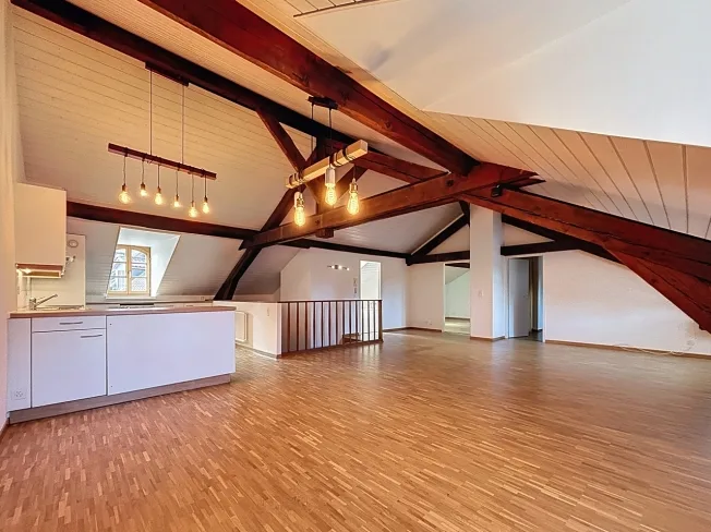 4 Zimmer Attikawohnung in Carouge GE – photo 4 sur 18