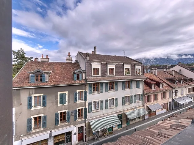 4 Zimmer Attikawohnung in Carouge GE – photo 15 sur 18