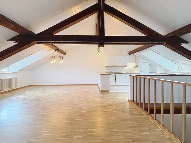 4 Zimmer Attikawohnung in Carouge GE – photo 13 sur 18