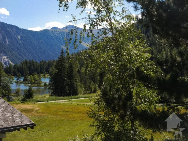 5 Zimmer Wohnung in Champex-Lac – foto 2 di 20