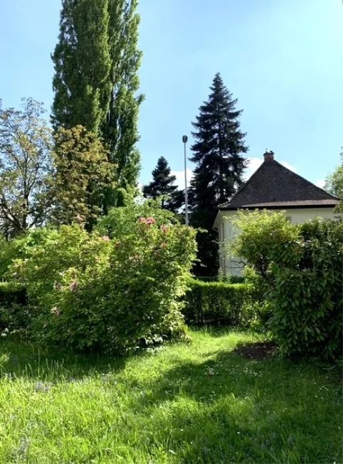 3 Zimmer Wohnung in Wettingen – Foto 8 von 8