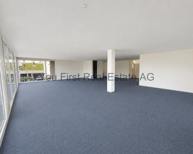 3 Zimmer Wohnung, 6205 Eich