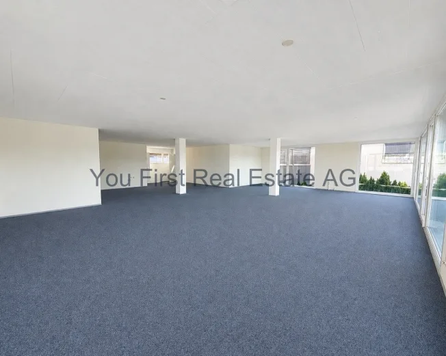 3 Zimmer Wohnung, 6205 Eich