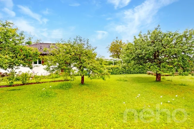 5 Zimmer Einfamilienhaus in Morrens VD – Foto 11 von 12