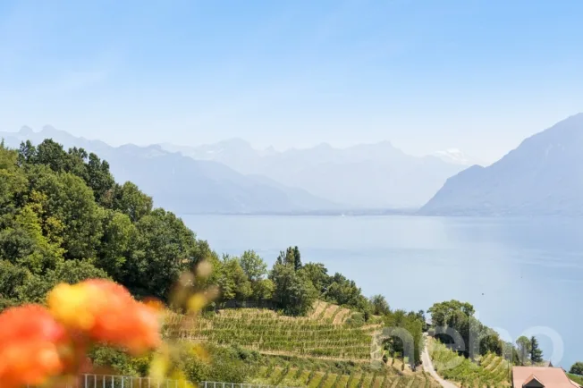 5 Zimmer Einfamilienhaus in Grandvaux – photo 11 sur 12