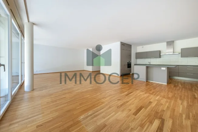 5 Zimmer Wohnung in Carouge GE – Foto 2 von 9