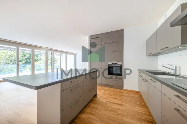 5 Zimmer Wohnung in Carouge GE – Foto 4 von 9