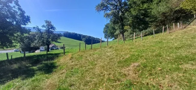 6 Zimmer Bauernhaus in St. Ursen – Foto 4 von 10