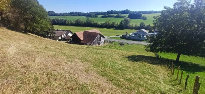 6 Zimmer Bauernhaus in St. Ursen – Foto 3 von 10
