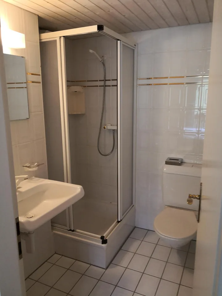 1.5 Zimmer möbl. Wohnobjekt in Blitzingen – Foto 6 von 10