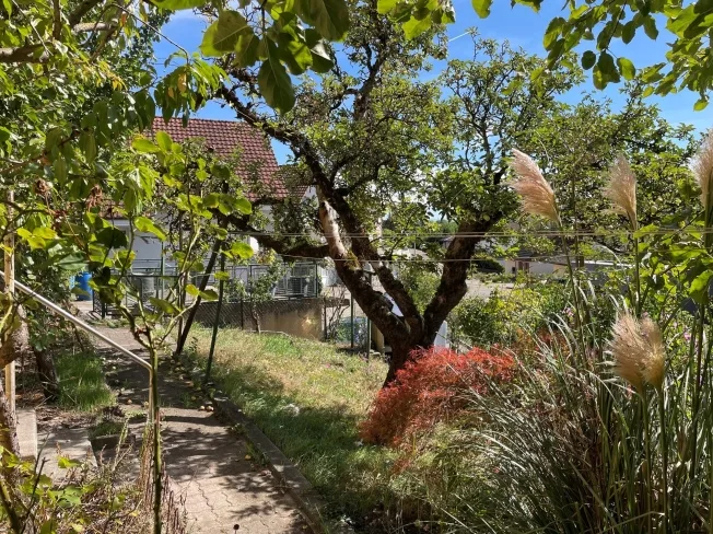 6.5 Zimmer Einfamilienhaus in Mellingen – Foto 6 von 13