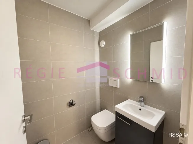 Appartement de 4,5 pièces au coeur de Nyon – photo 24 sur 24