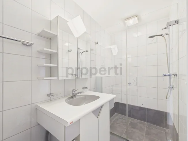 3.5 Zimmer Wohnung, 4416 Bubendorf