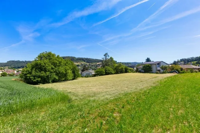 Einfamilienhaus in Endingen – foto 5 di 11
