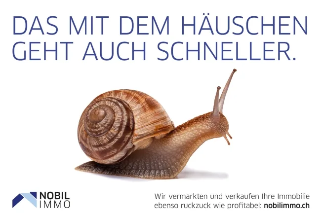 Charmantes Wohnen mit Aussicht ins Grüne und Quartier – foto 13 di 14