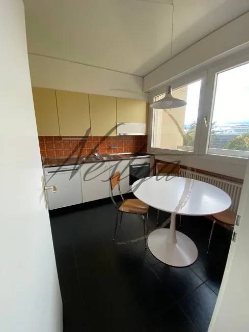 2 Zimmer möbl. Wohnobjekt in Genève – photo 6 of 10