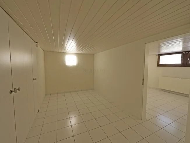 7 Zimmer Einfamilienhaus in Carouge GE – Foto 18 von 20