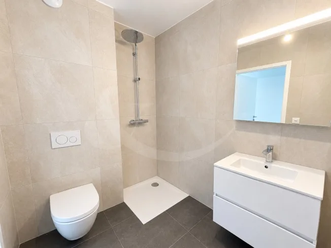 Exclusivité ? Appartement de 4 pièces et ses 64 m² de terrasses ? Nations - Servette – photo 5 sur 7