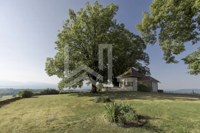 7 Zimmer Einfamilienhaus in Chéserex – Foto 15 von 16