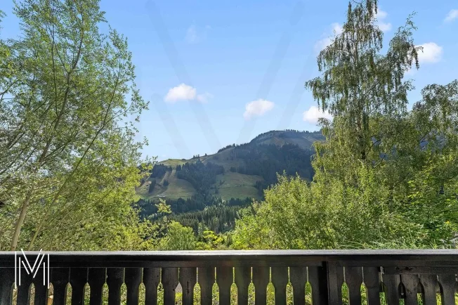 4.5 Zimmer Chalet in Moléson-sur-Gruyères – Foto 16 von 19