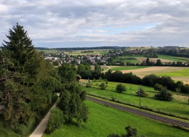 2.5 Zimmer Wohnung in Dielsdorf – foto 8 di 17