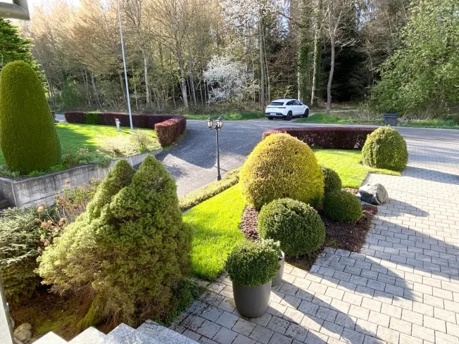 6.5 Zimmer Einfamilienhaus in Schwarzhäusern – photo 12 of 26