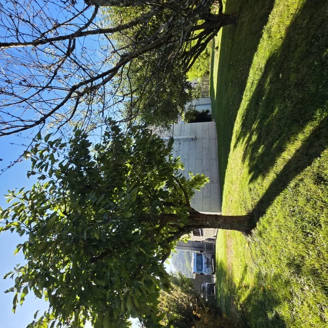 7.5 Zimmer Villa in Monthey – Foto 7 von 20