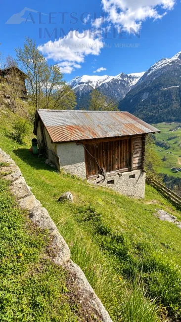 Einfamilienhaus in Betten – foto 5 di 5