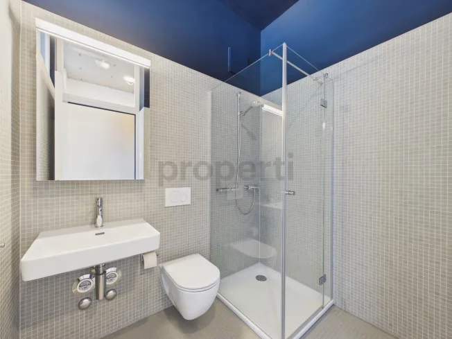 3.5 Zimmer Wohnung in Basel – Foto 7 von 18