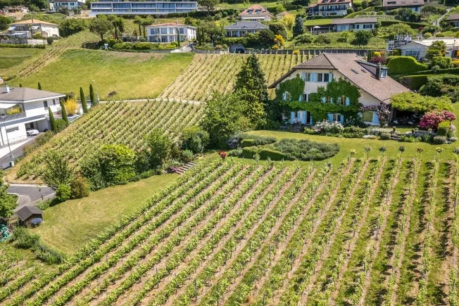 10.5 Zimmer Villa in Lutry – Foto 2 von 13