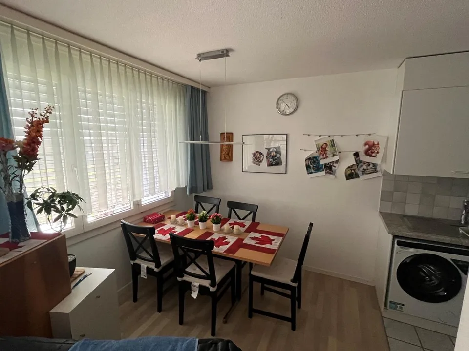 sonnige 2.5 Zi. Erdgeschosswohnung 55m^2 – photo 5 sur 6