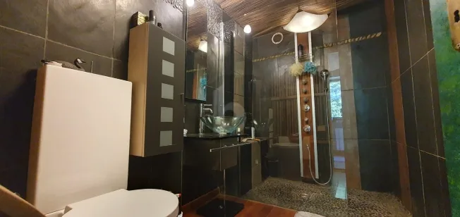 9.5 Zimmer Einfamilienhaus in Curtilles – Foto 5 von 6