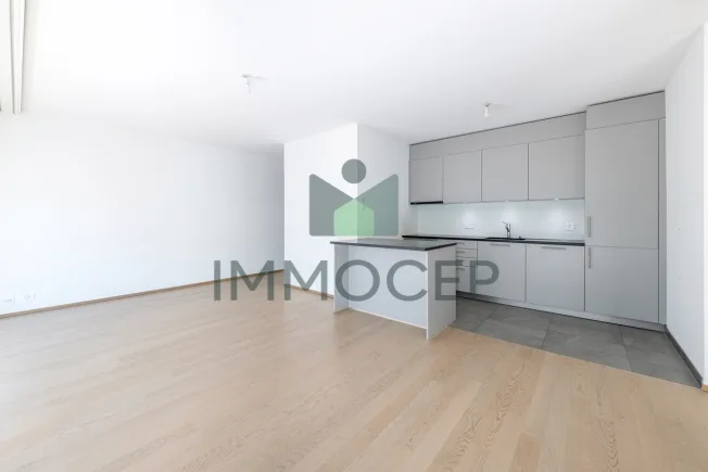 4 Zimmer Wohnung in Genève – Foto 3 von 10