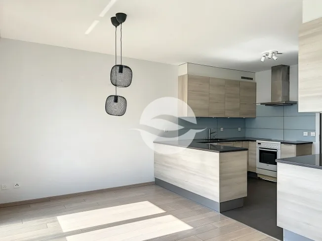 6 Zimmer Wohnung in Vésenaz – Foto 3 von 12