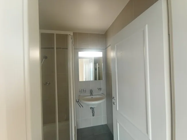 NATIONS - Through Apartment 4.5 rooms ?100 m², Mont-Blanc & Jet – photo 11 of 31