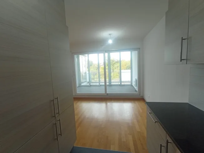NATIONS - Through Apartment 4.5 rooms ?100 m², Mont-Blanc & Jet – photo 10 of 31
