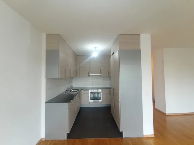 NATIONS - Through Apartment 4.5 rooms ?100 m², Mont-Blanc & Jet – photo 4 of 31