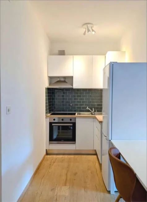 1 Zimmer Wohnung in Lugano – photo 4 of 17