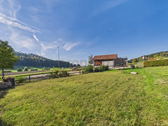 3.5-Zimmerwohnung mit Südwest-Terrasse eigenem grosszügigen Gemüsegarten in Madetswil – Foto 11 von 26
