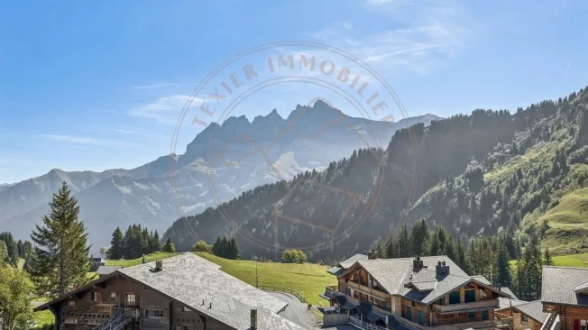 5.5 Zimmer Wohnung in Les Crosets – photo 1 sur 10