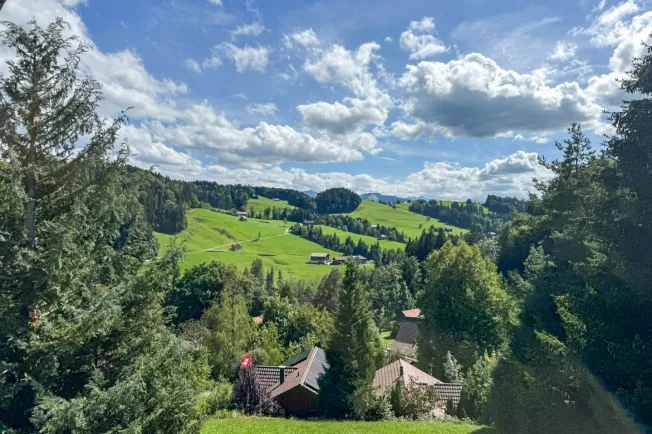 5.5 Zimmer Doppeleinfamilienhaus in Dicken – photo 11 sur 12