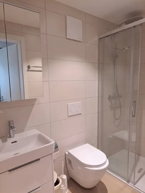 Monolocale arredato di 1,5 locali con terrazza a Fahrweid in affitto. – foto 7 di 9